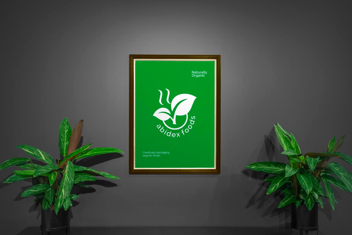 Abidex Foods case study cover