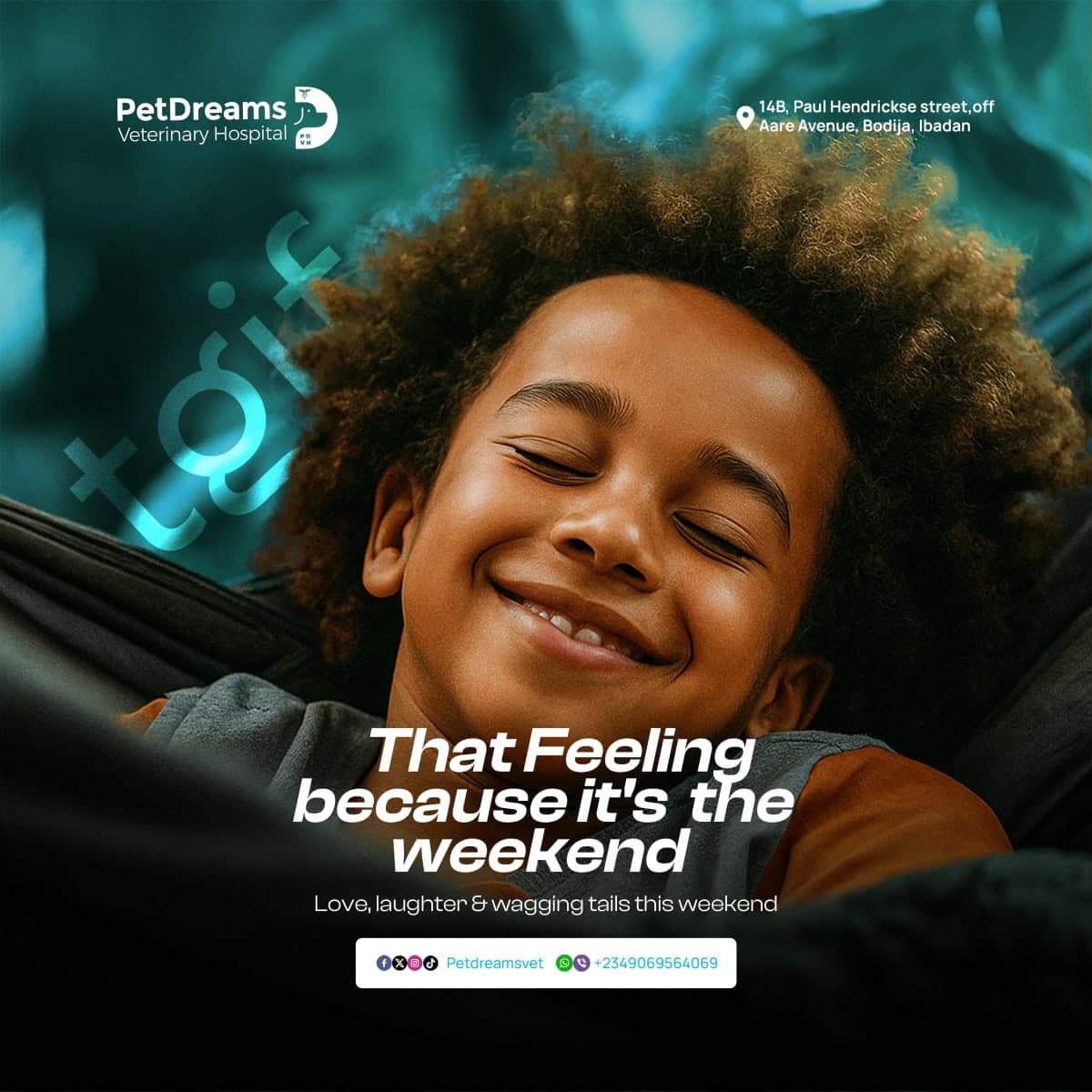 PetDreams Motion Graphics