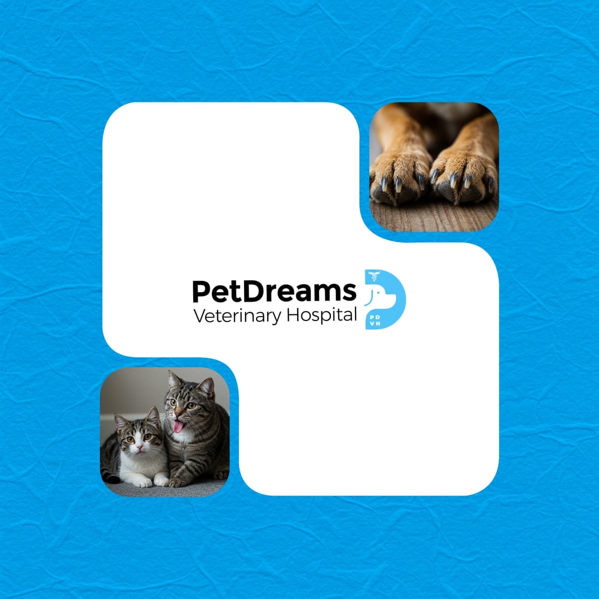 PetDreams case study cover