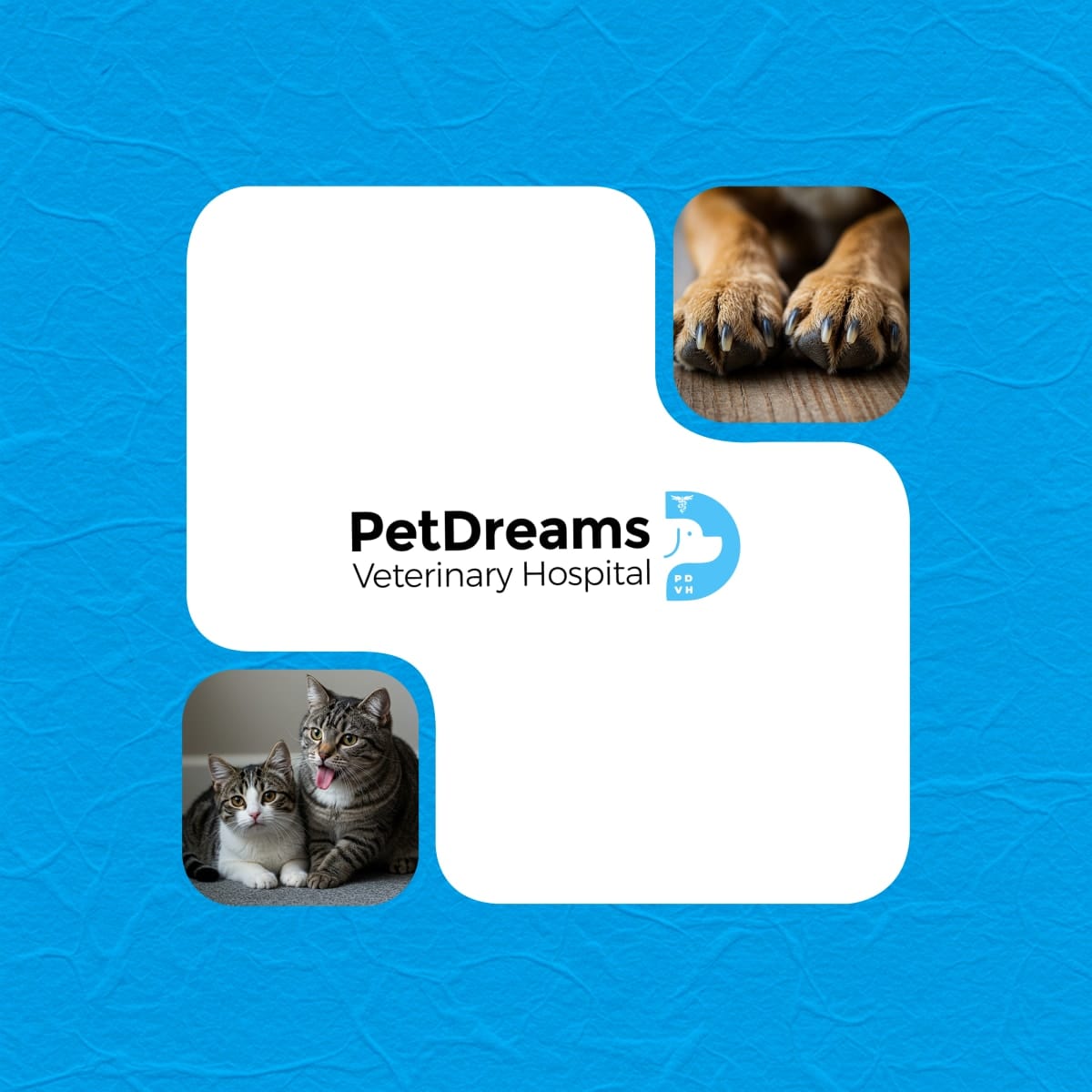 PetDreams cover